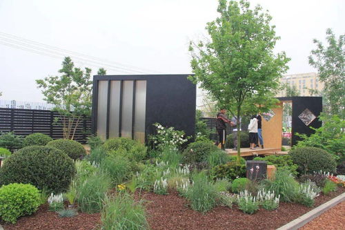 解读园林绿化施工全过程，教你如何成为绿化行业大佬