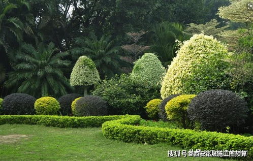 园林绿化工程造价组成及计算依据分析