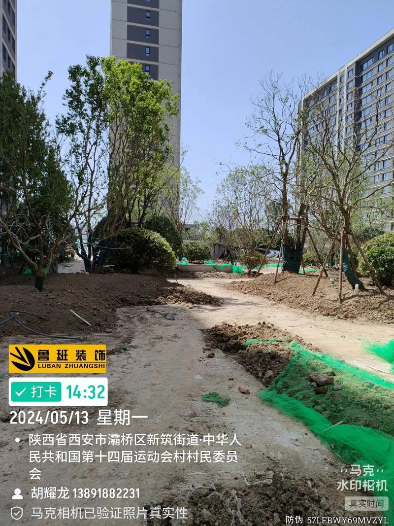 望江城市绿化工程施工现场实拍 精细化管理下的进度与生态之美