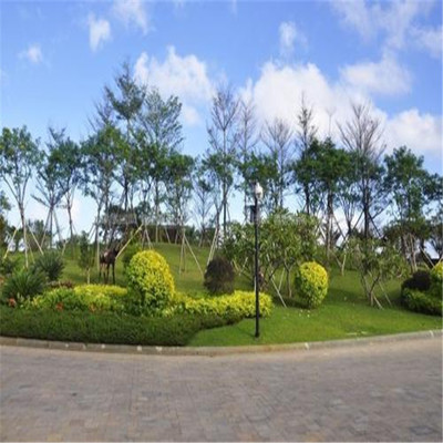 东城园林景观绿化施工队 专业打造生态宜居环境