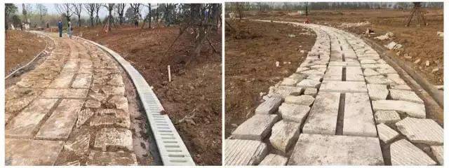 园林绿化施工全流程深度解析 从蓝图到绿洲的实战指南