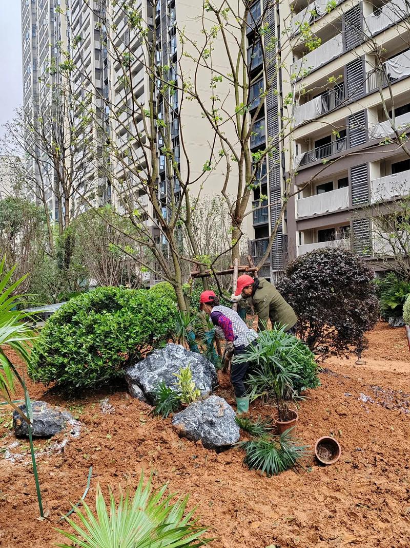 园林绿化工程 从设计到施工，打造宜居小区景观